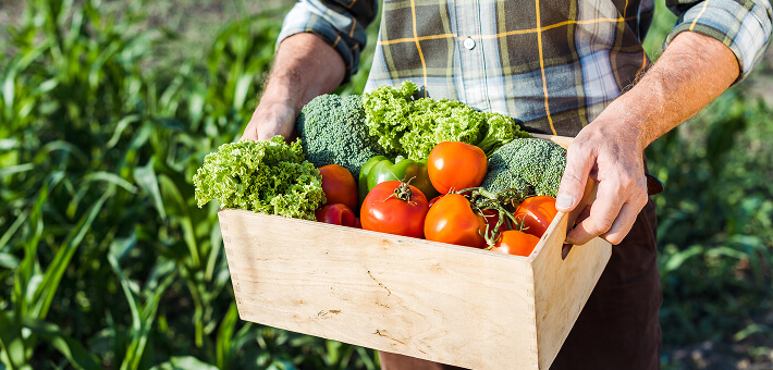 A farmer holding vegetable in the box