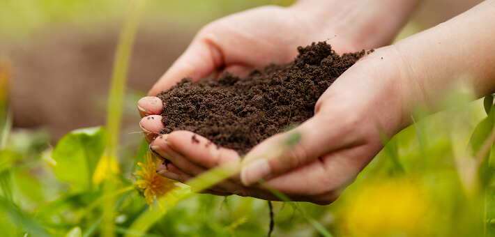 hands holding soil